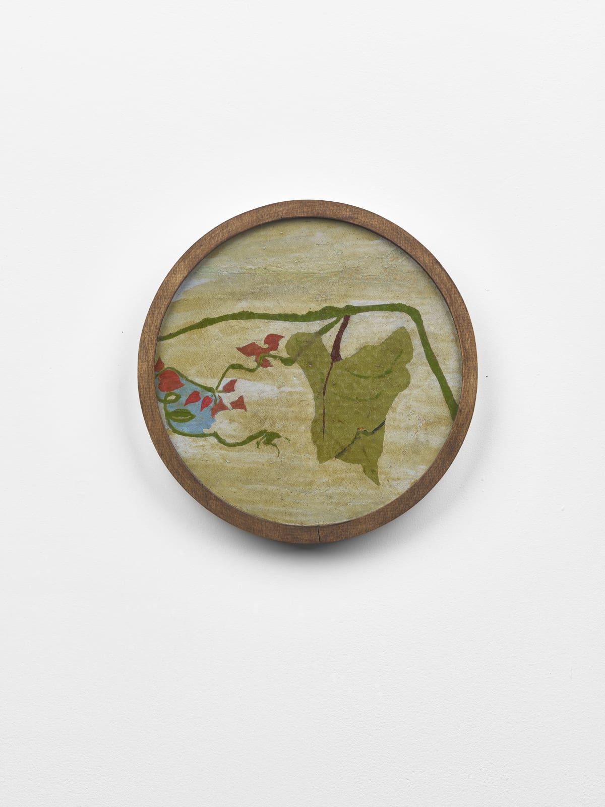 Frank Walter, Untitled (Jumbie seeds, abstract botany)