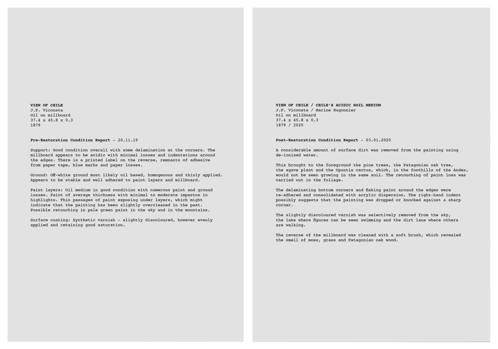 Marine Hugonnier, View of Chile / Chile's Acidic Soil Medium, 1879 / 2020