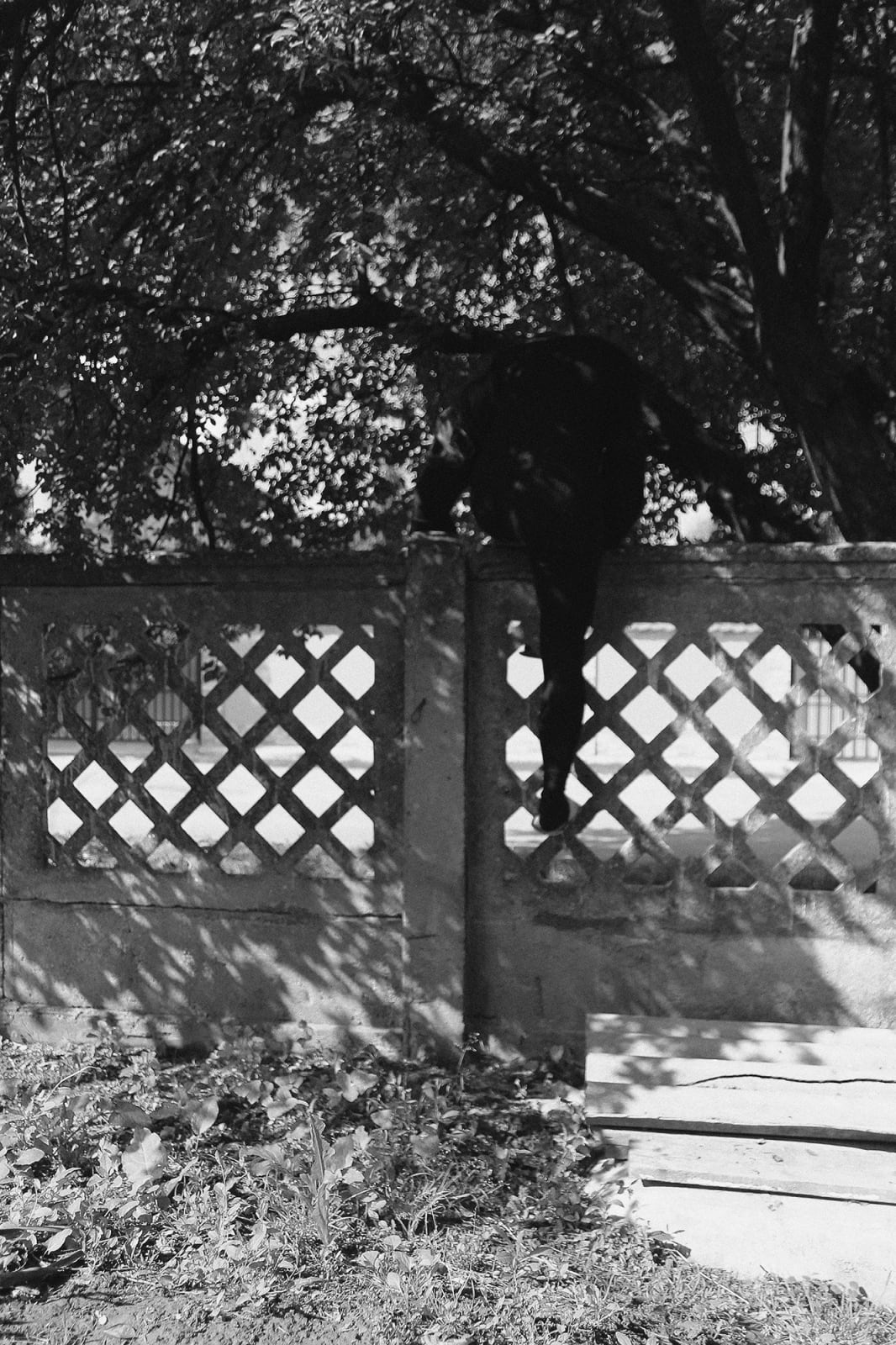 Oana Stanciu, Out to play, 2020