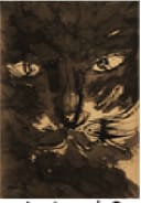 Yahon Chang, 张耀煌, Animal series : Cat 动物系列 : 猫, 2020