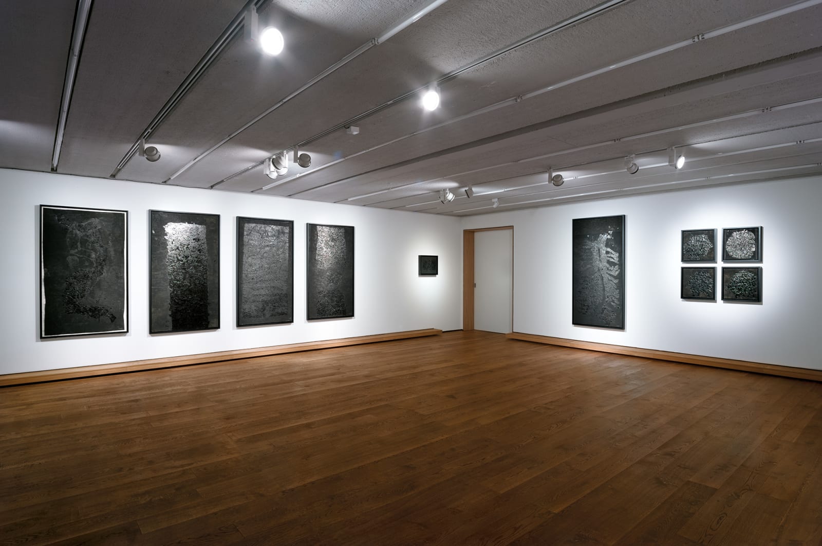 Yang Jiechang 杨诘苍, Earth Roots 地脉, 1994-1996