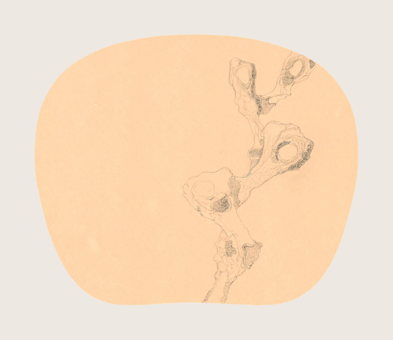 Bingyi 冰逸, Fairy of Bone 骨妖, 2012-2016