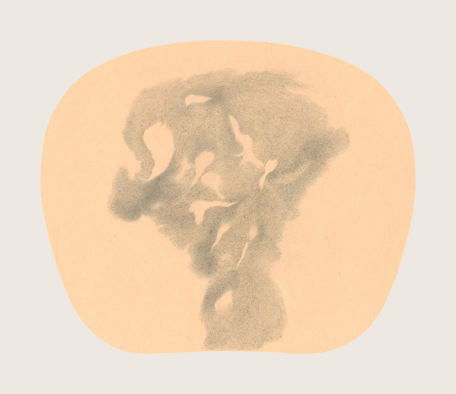 Bingyi 冰逸, Fairy of Arista 芒妖 , 2012-2016