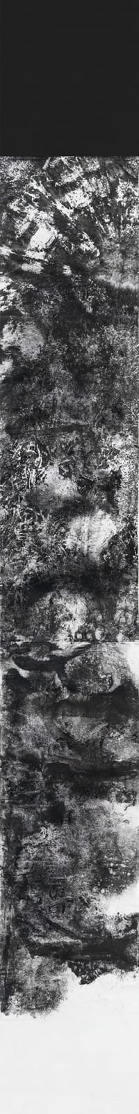 Bingyi 冰逸, Wanwu: Metamorphosis 万物, 2013