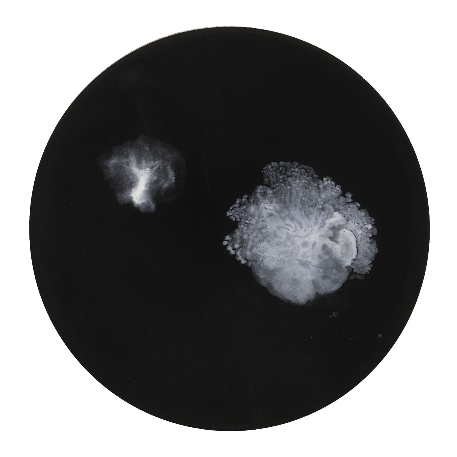 Bingyi 冰逸, 港, 2015