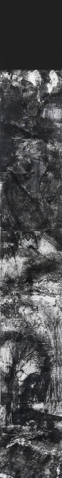 Bingyi 冰逸, Wanwu: Metamorphosis 万物, 2013