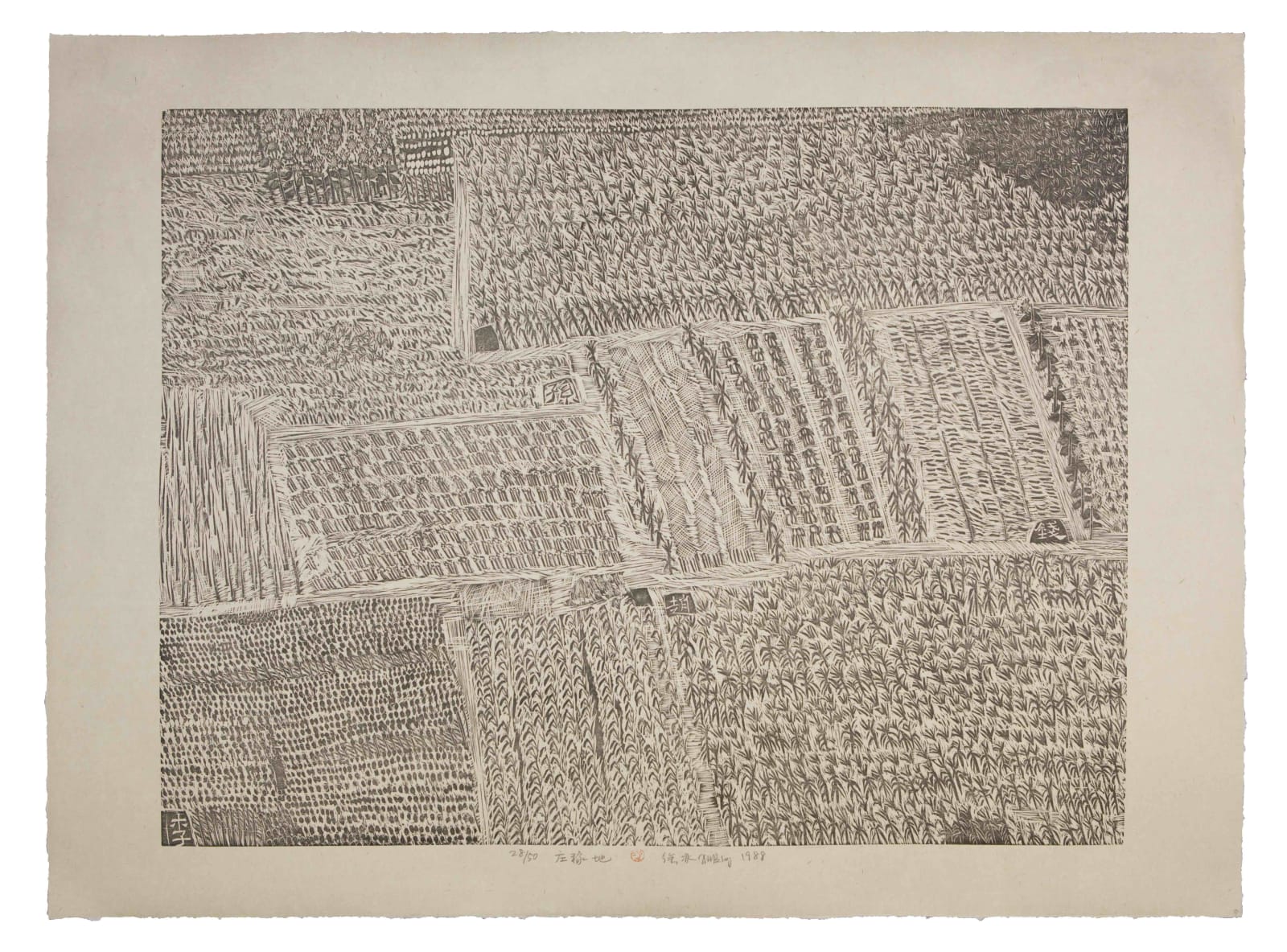Xu Bing 徐冰, Family Plots 庄稼地, 1987