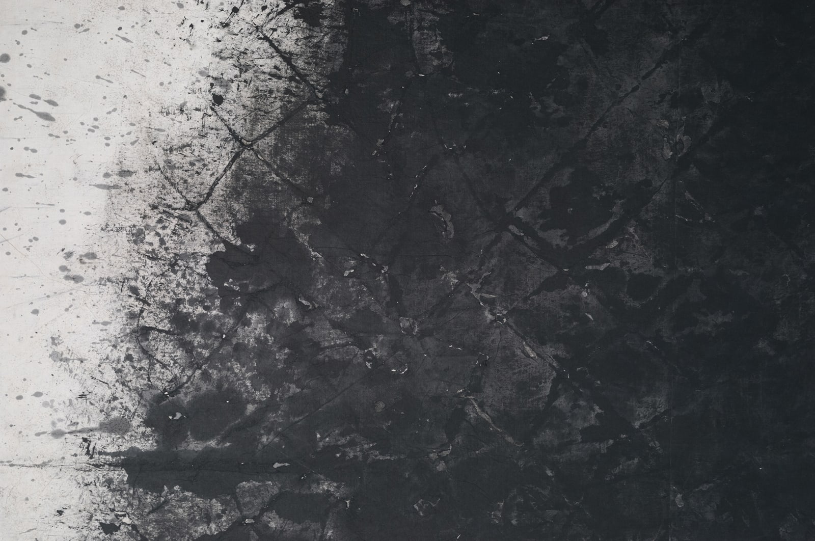 Yang Jiechang 杨诘苍, Net 网, 1984