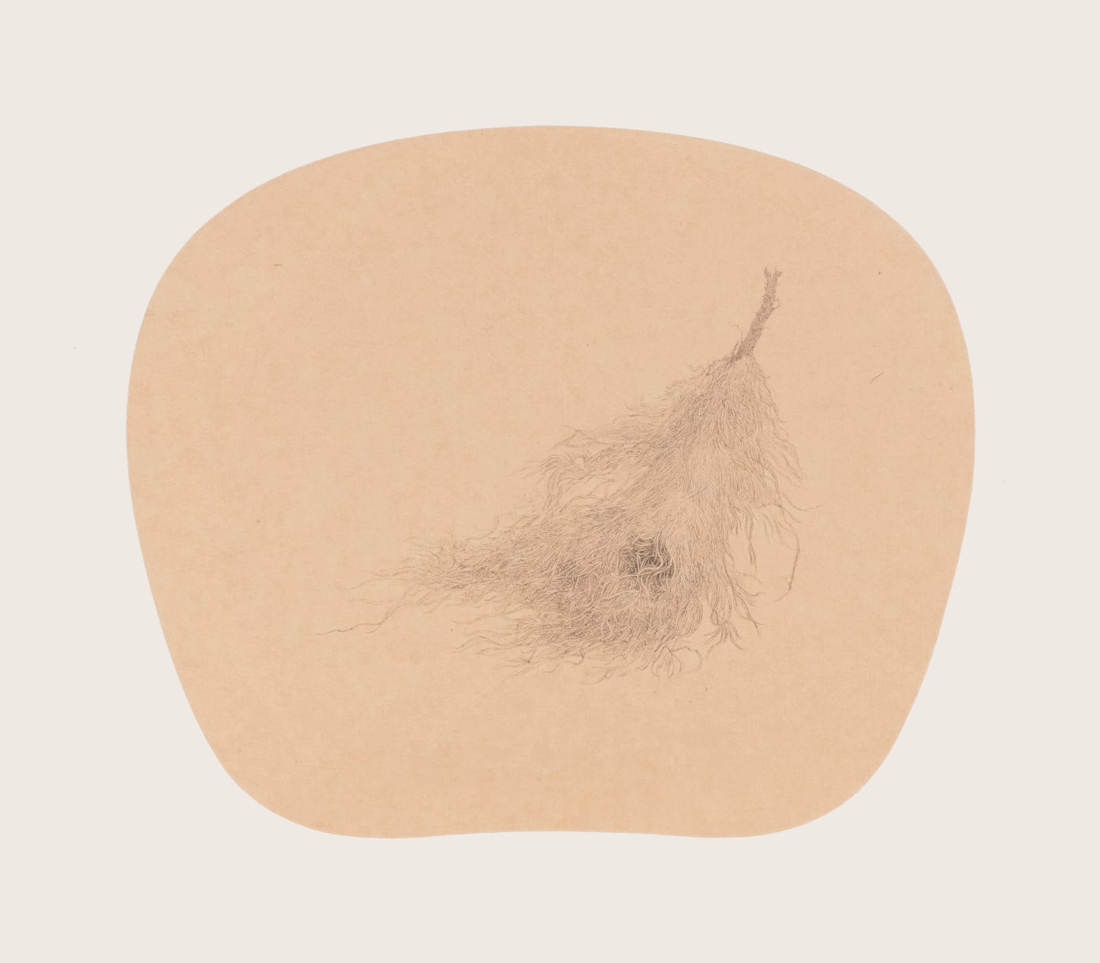 Bingyi 冰逸, Landscape Fairies 山水万物, 2019-2022