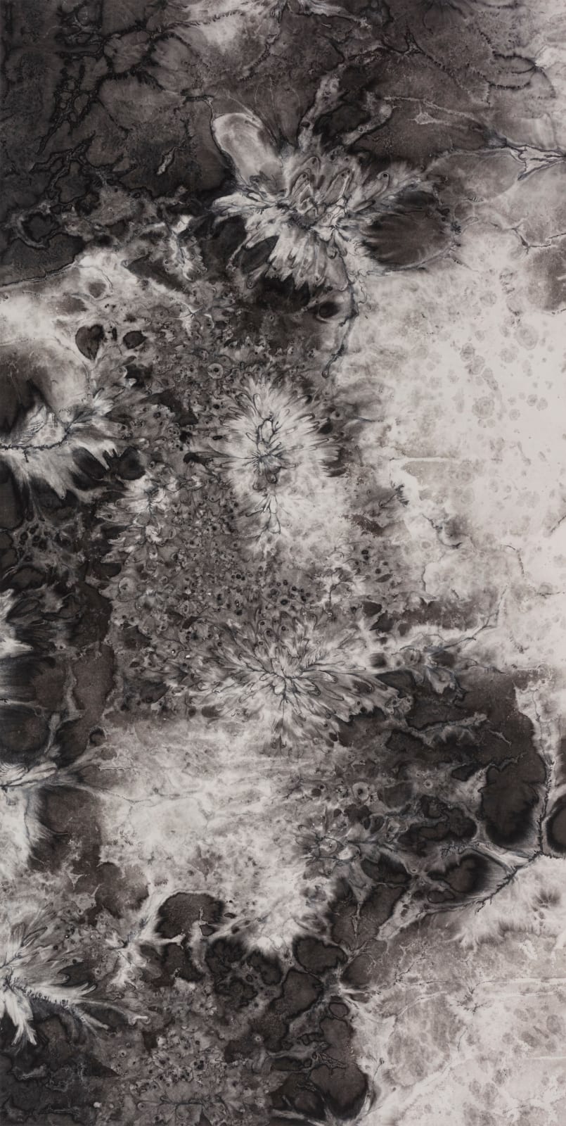 Bingyi 冰逸, Wave Painting: Chrysanthemums 波相绘画：菊, 2019-2023