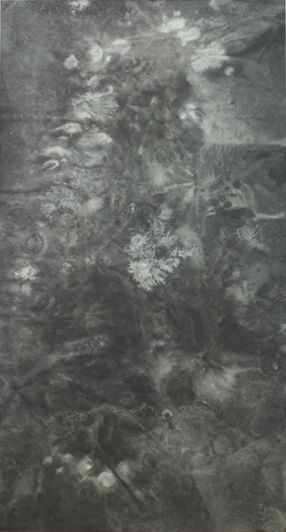 Bingyi 冰逸, ICE Paintings: Lotus Blossom in Ice No.3 冰画:莲3号, 2016