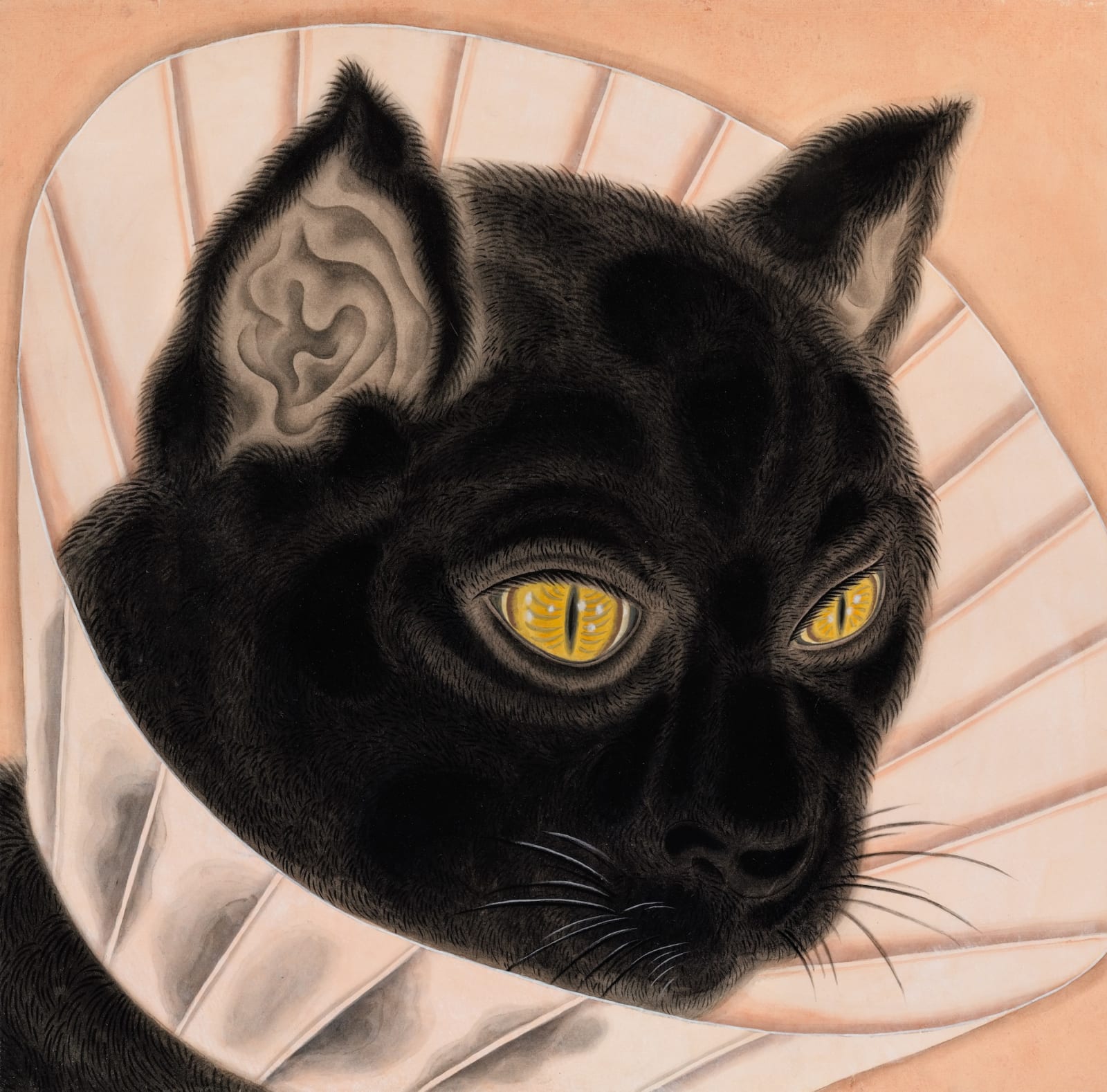 Tseng Chien-ying 曾建颖, Instanimals #04 社畜态 #04, 2020