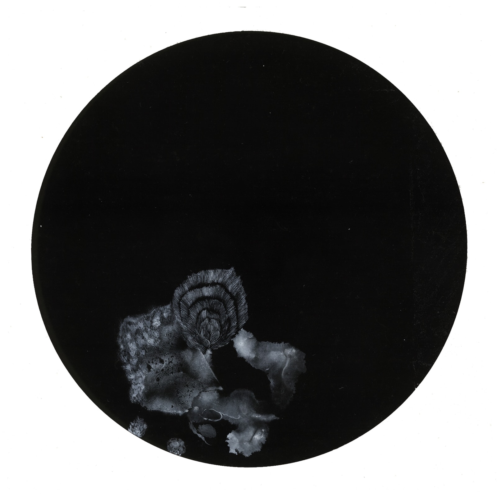 Bingyi 冰逸, 湫, 2013-2014