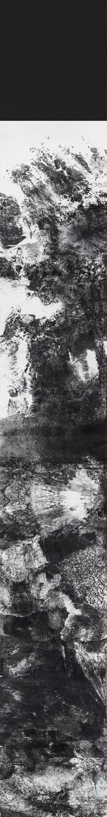 Bingyi 冰逸, Wanwu: Metamorphosis 万物, 2013