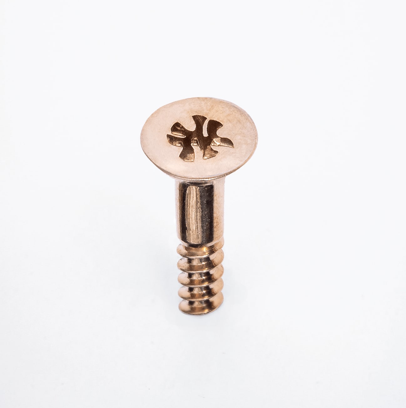 Malcolm Ransome, NY Screws and Screwdriver, 2023