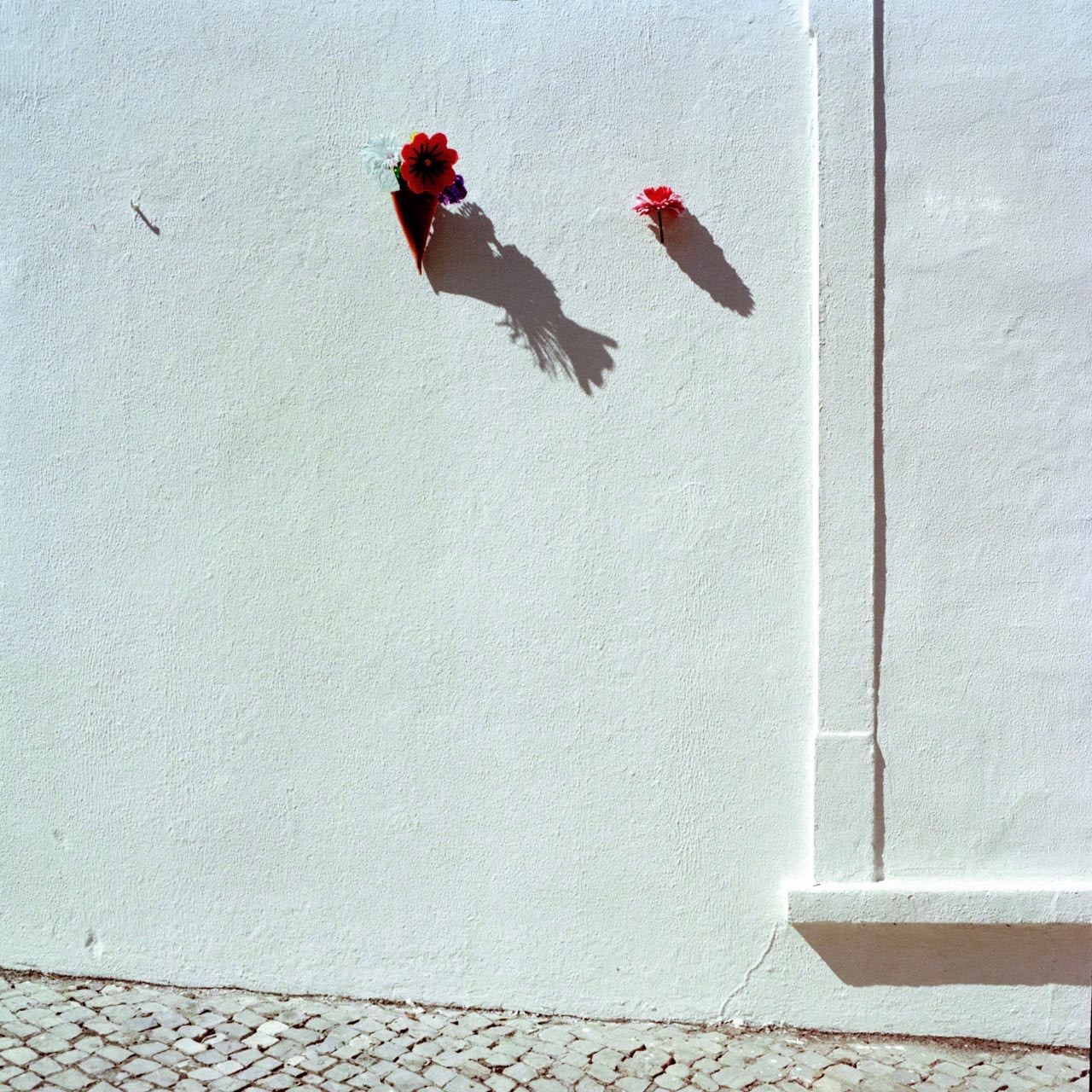 Vasco Celio, Hidden Book of Odds, Untitled, 2021