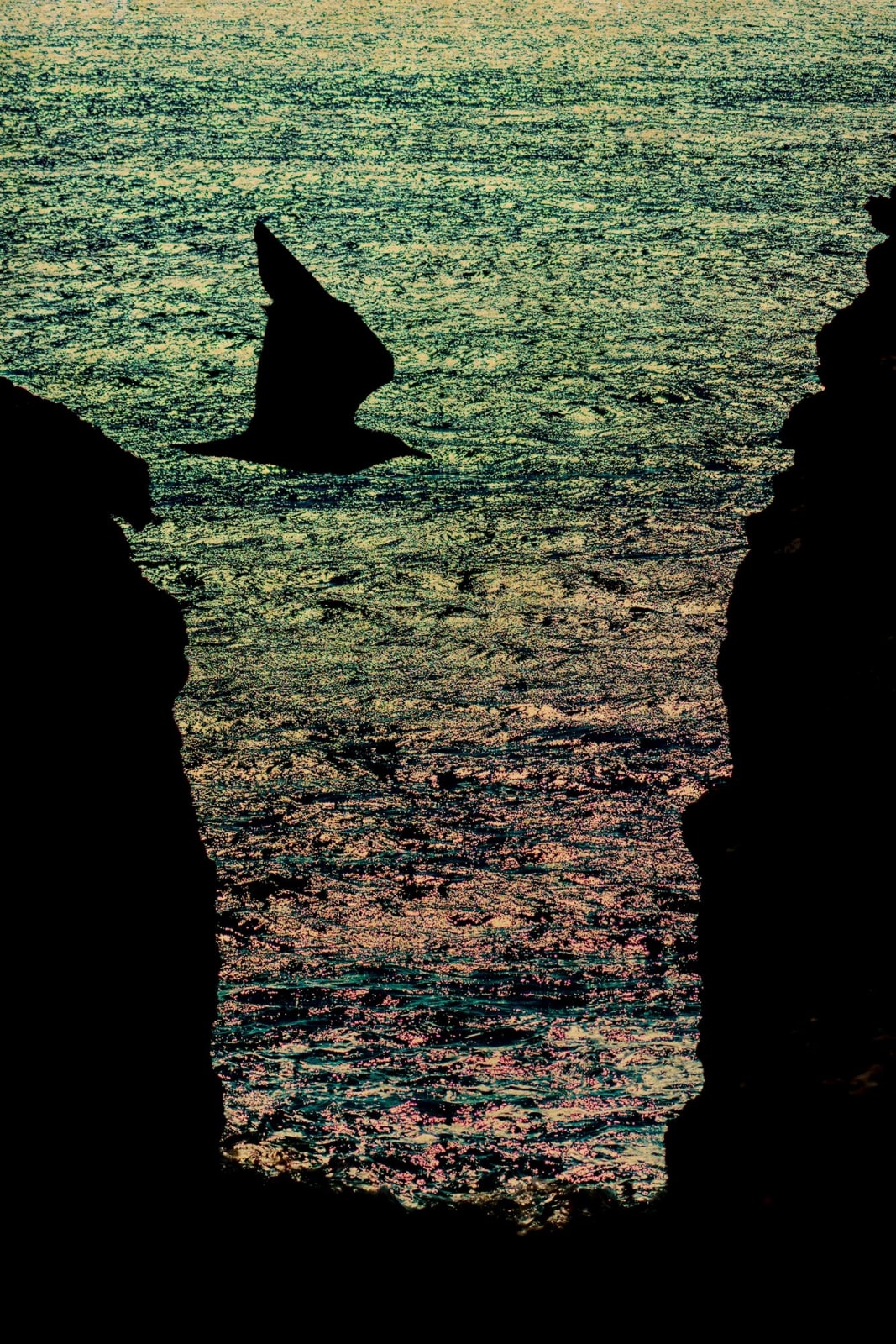 Albarrán Cabrera, The Mouth of Krishna #852, 2019