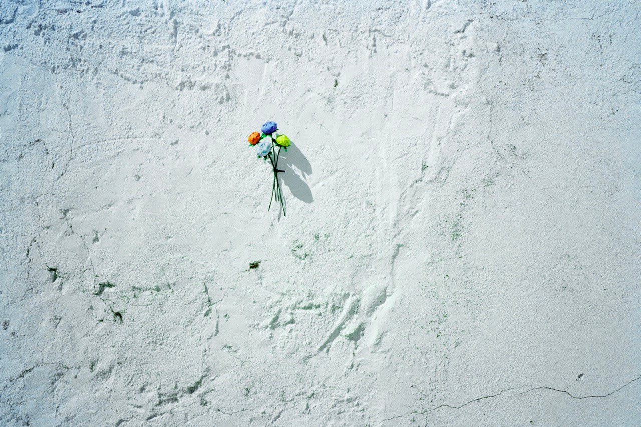 Vasco Celio, Hidden Book of Odds, Untitled, 2022