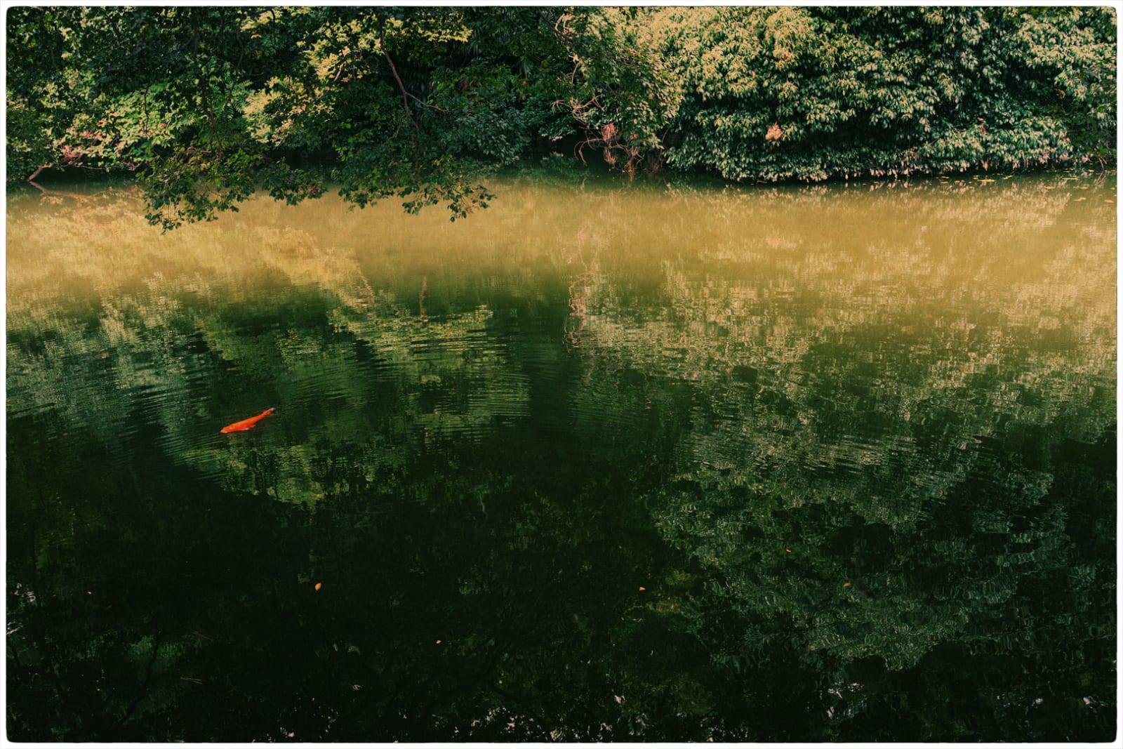 Albarrán Cabrera, The Mouth of Krishna #636, 2016