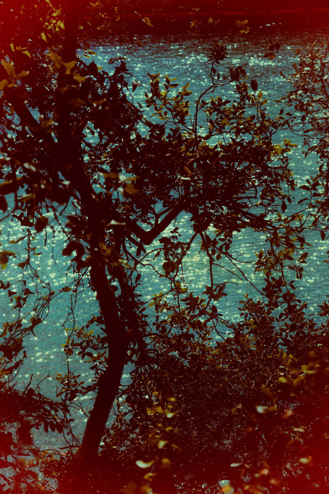 Albarrán Cabrera, The Mouth of Krishna #472, 2016