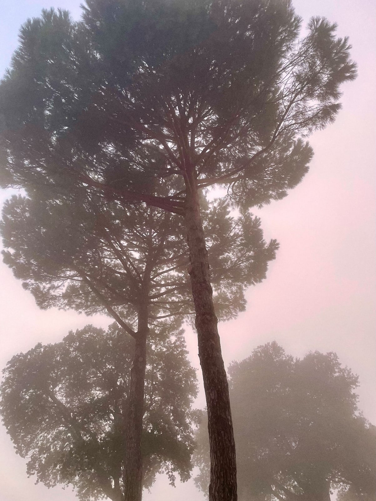 Philipp Keel, Volterra, 2022