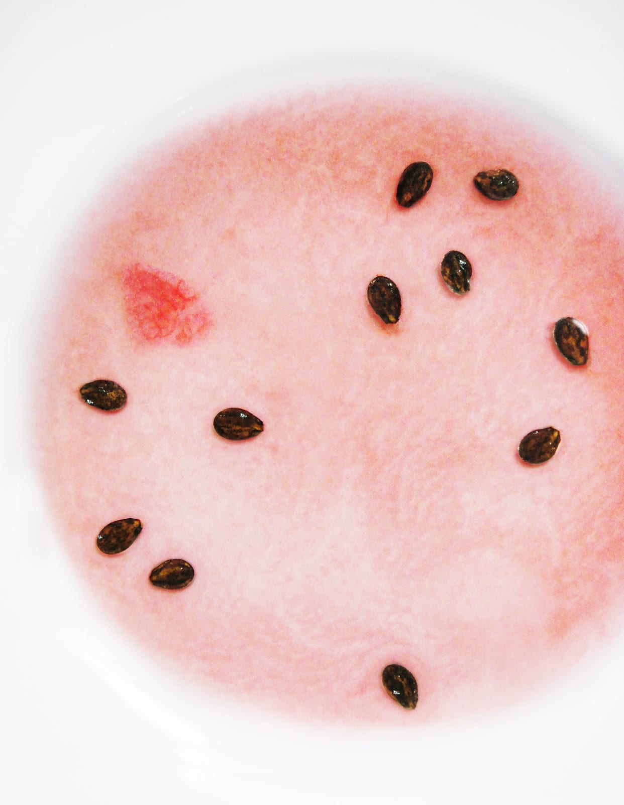 Philipp Keel, Watermelon Seeds Series II (I-V), 2011