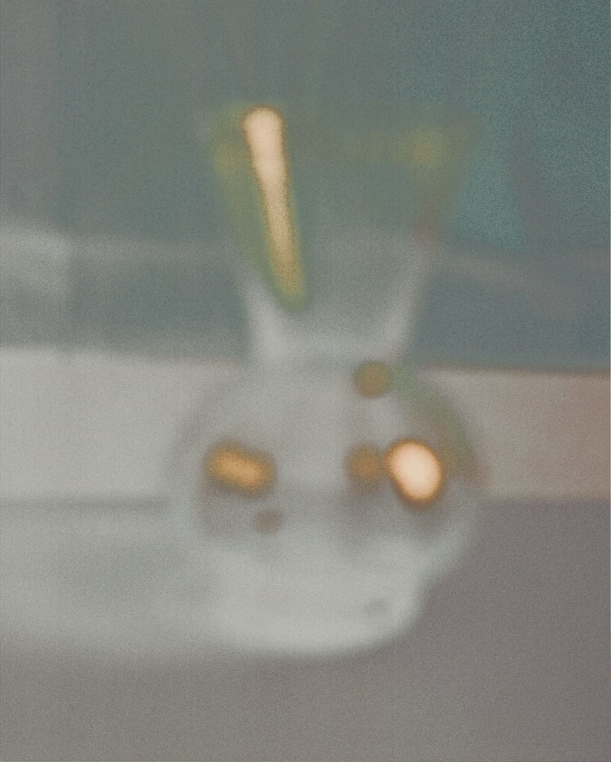 Johnny Mae Hauser, Bildnis 87, 2024