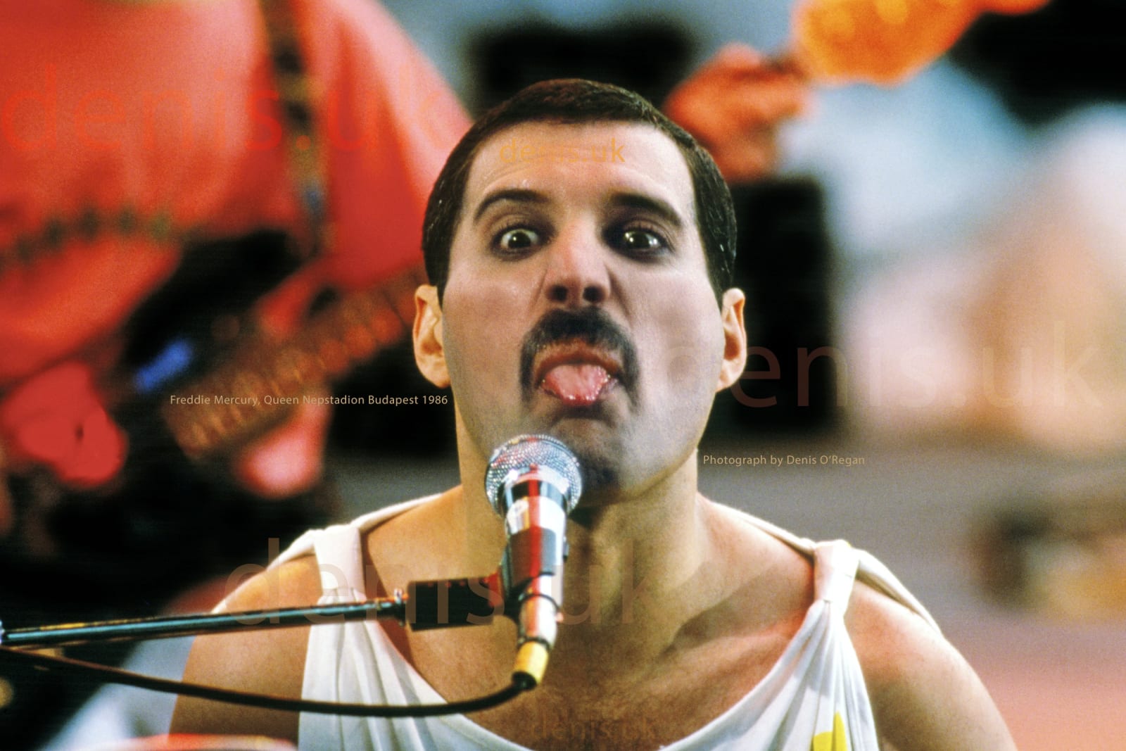 QUEEN, Freddie Mercury Live Budapest, 1986
