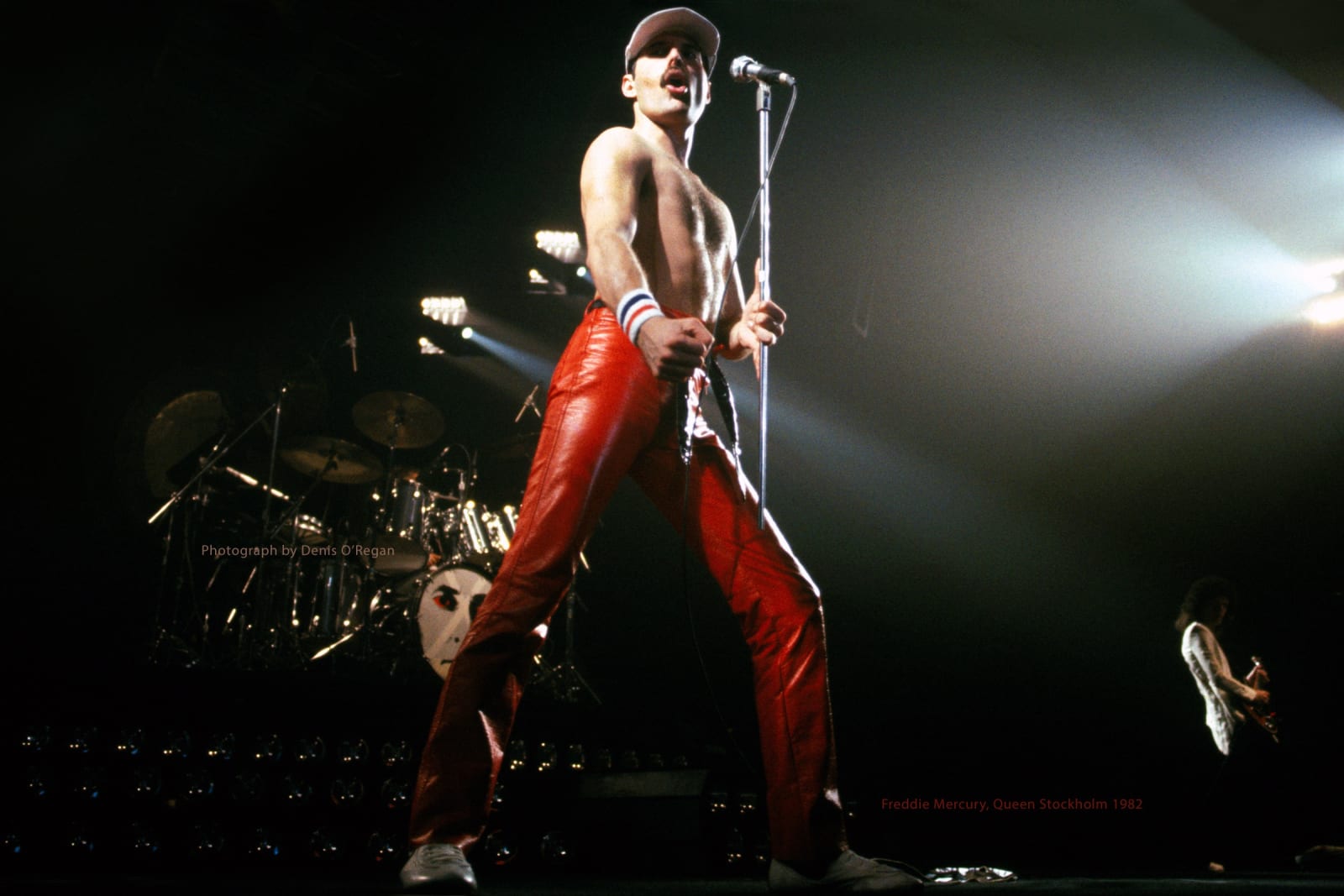 QUEEN, Freddie Mercury Stockholm, 1982
