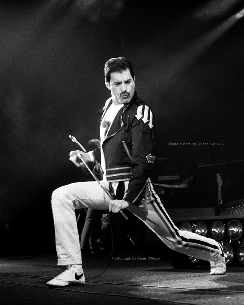 QUEEN, Freddie Mercury live, 1982
