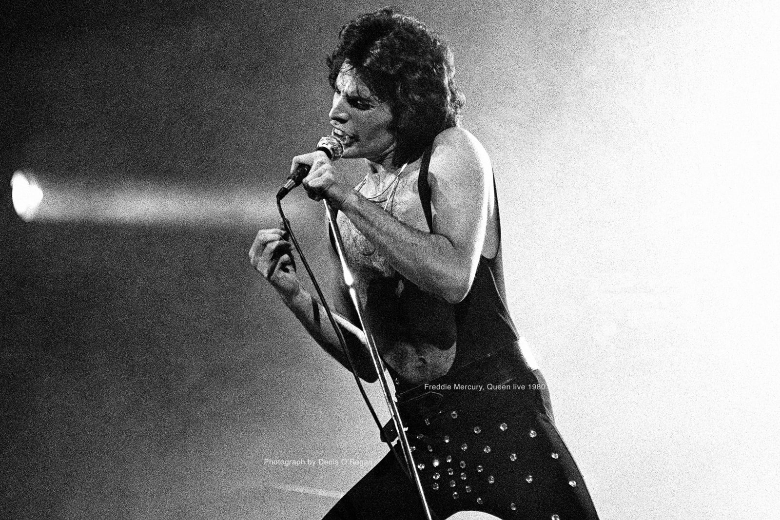 QUEEN, Freddie Mercury Live, 1980