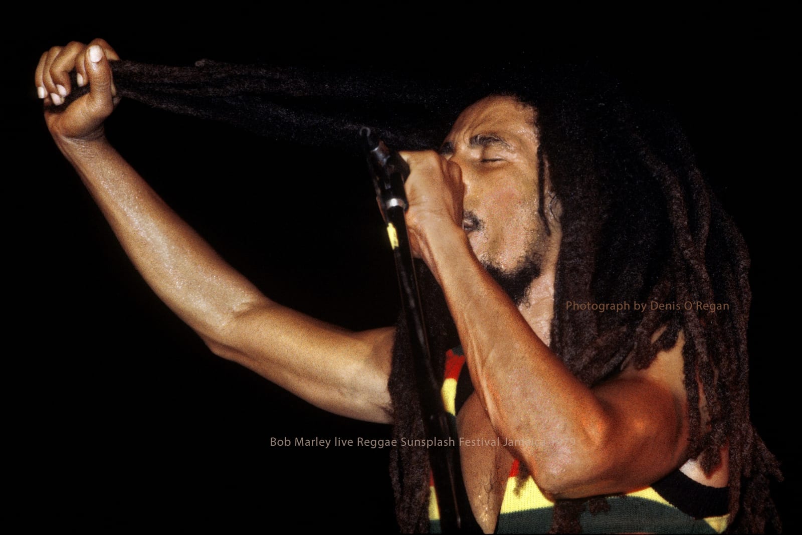 BOB MARLEY, Bob Marley Reggae Sunsplash Festival, 1979