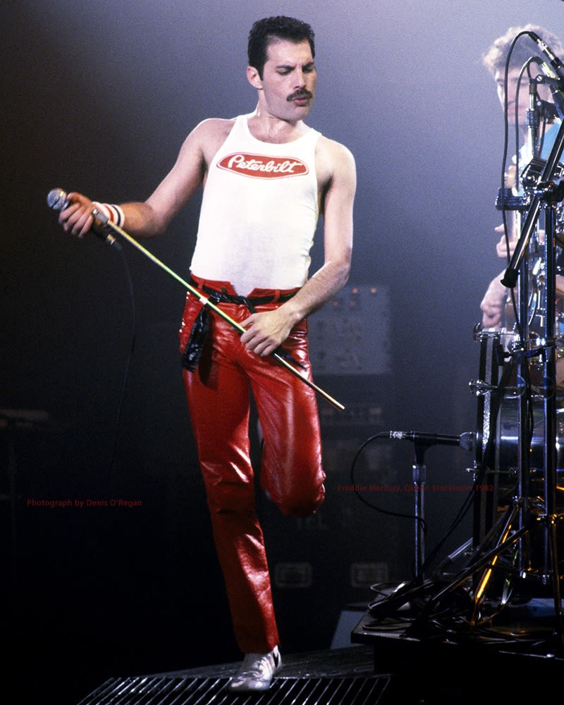 QUEEN, Freddie Mercury live Stockholm, 1982