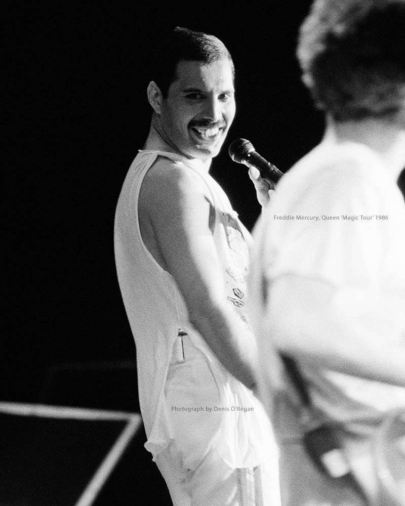 QUEEN, Freddie Mercury Live, 1986