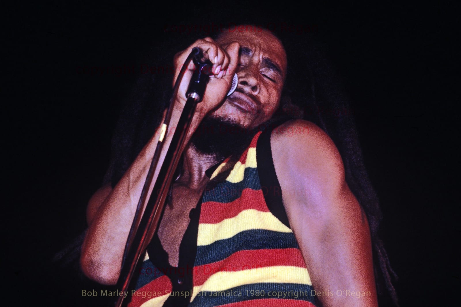 BOB MARLEY, Bob Marley Reggae Sunsplash, 1979 | Denis O'Regan 