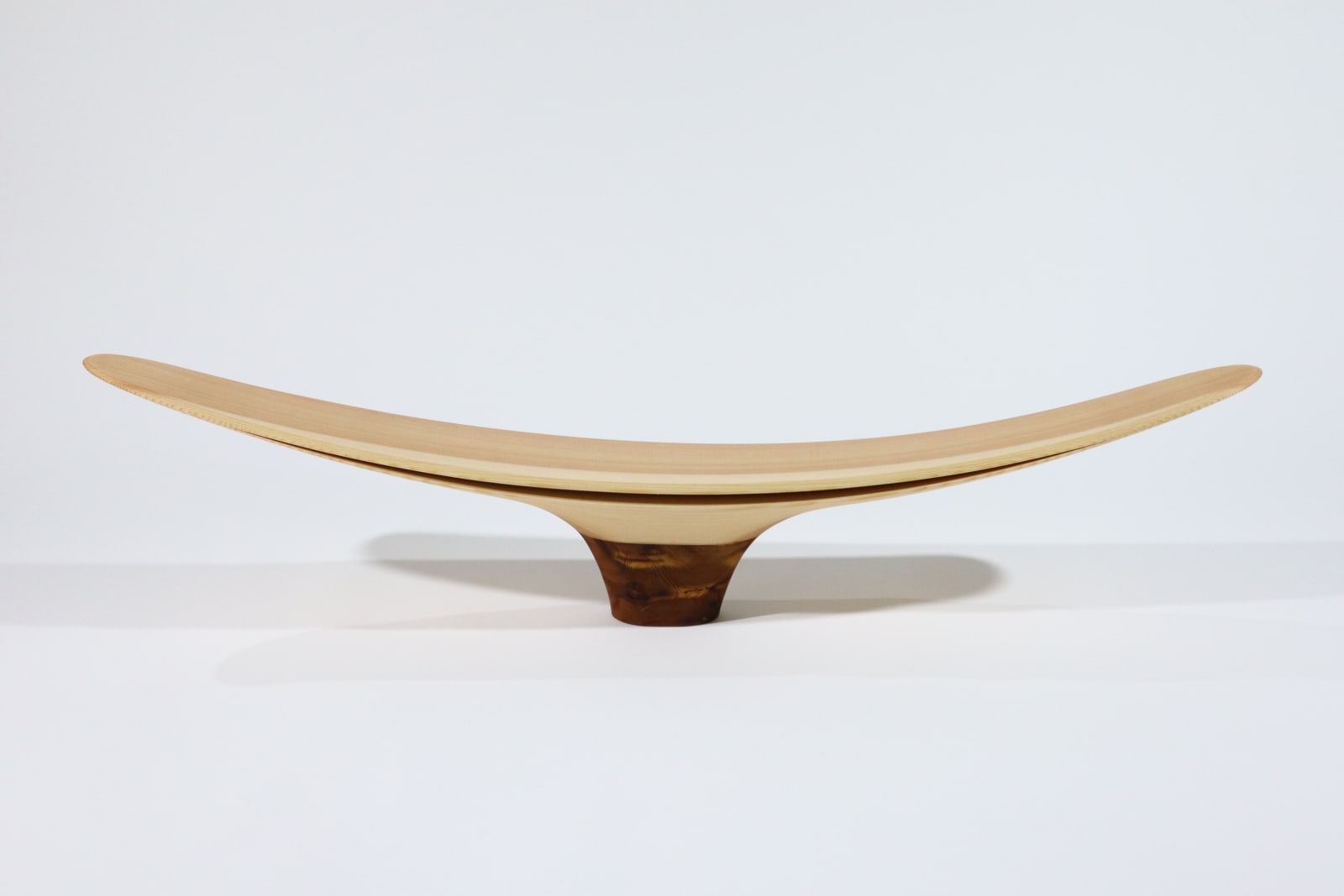 Kenta Hirai, Flash of Light一閃, 2024