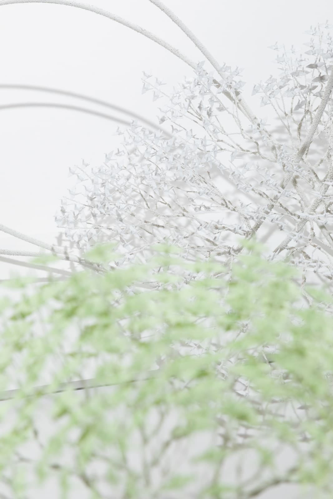Naoki Onogawa, 「風」, 2017