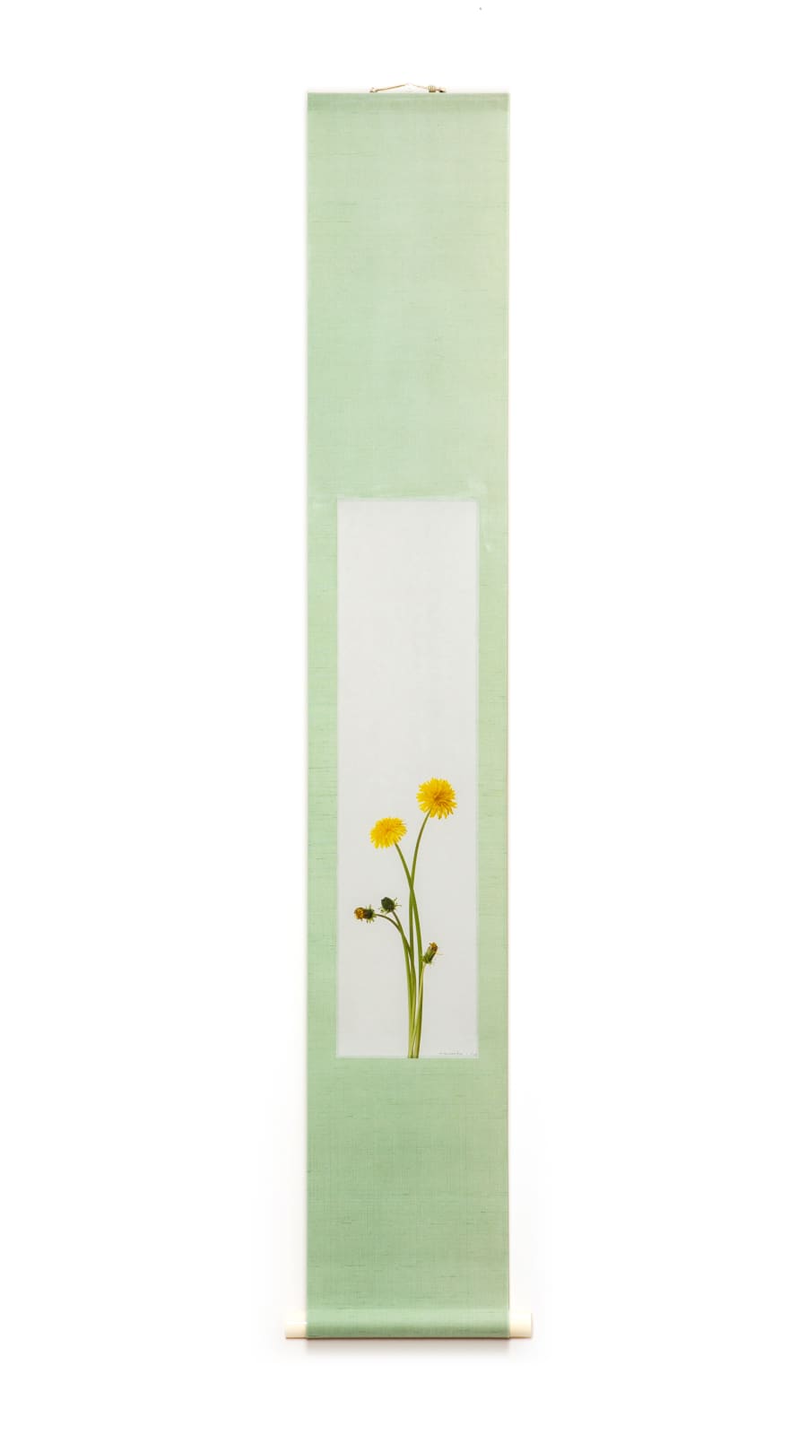 Takashi Tomo-oka, 「蒲公英 4」（1/15）Tempopo, Dandelion 4 Scroll, 2020