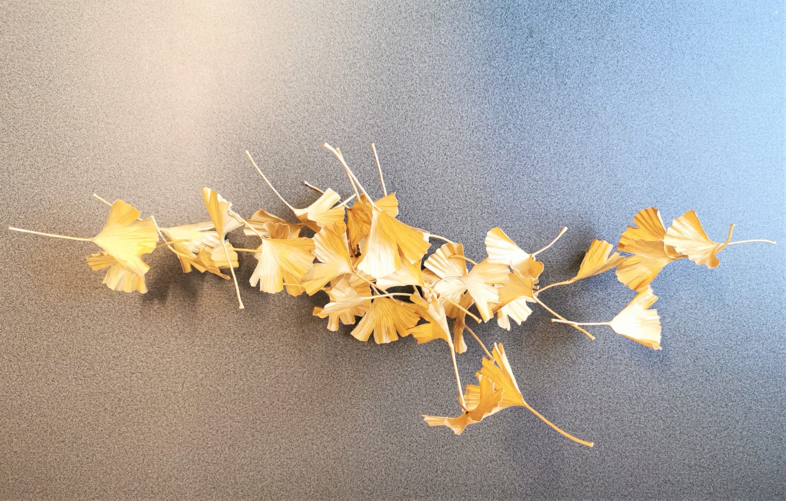 Shota Suzuki, Blowing Ginkgo, 2018
