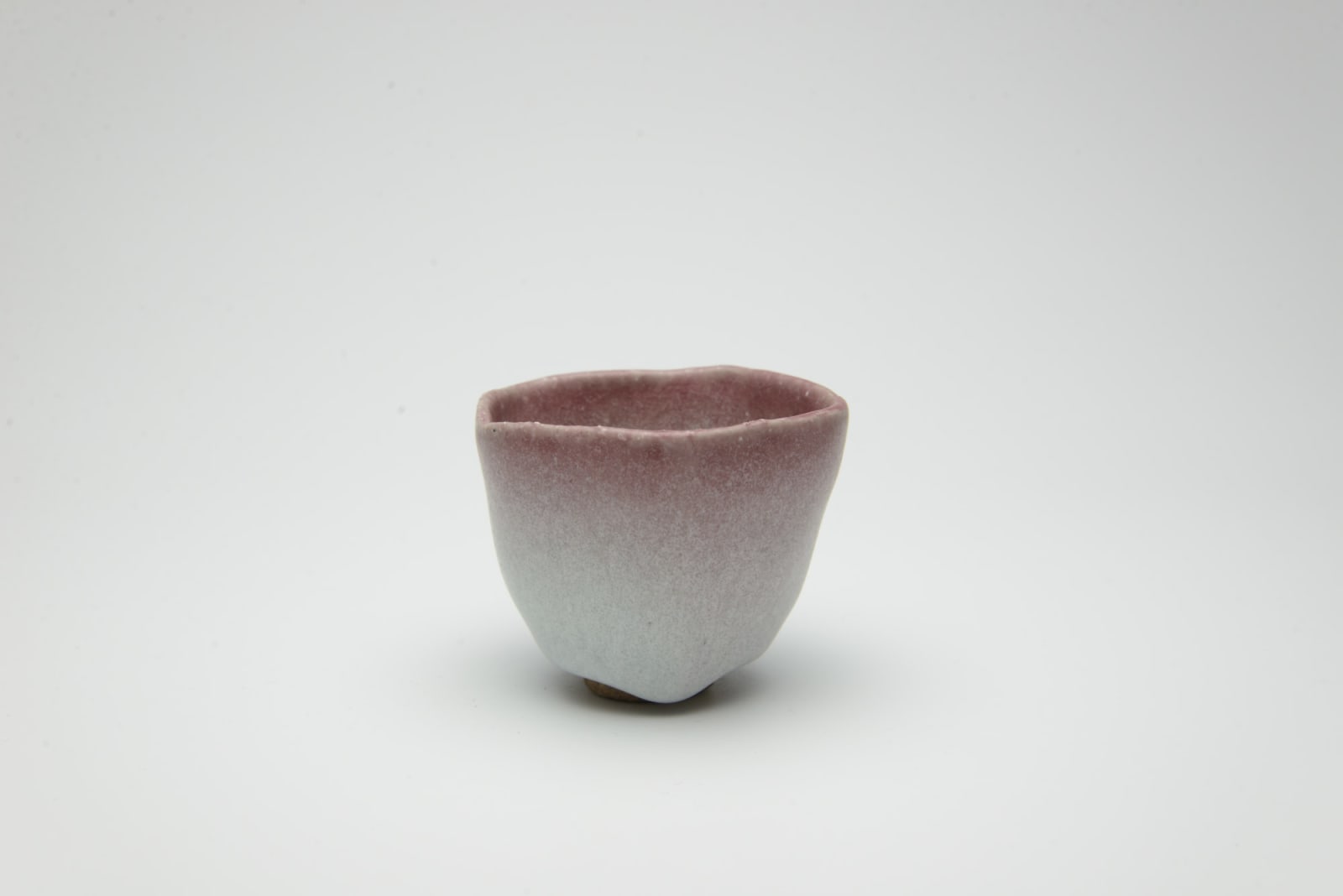Shin Fujihira, Cinnabar Cup, 1990