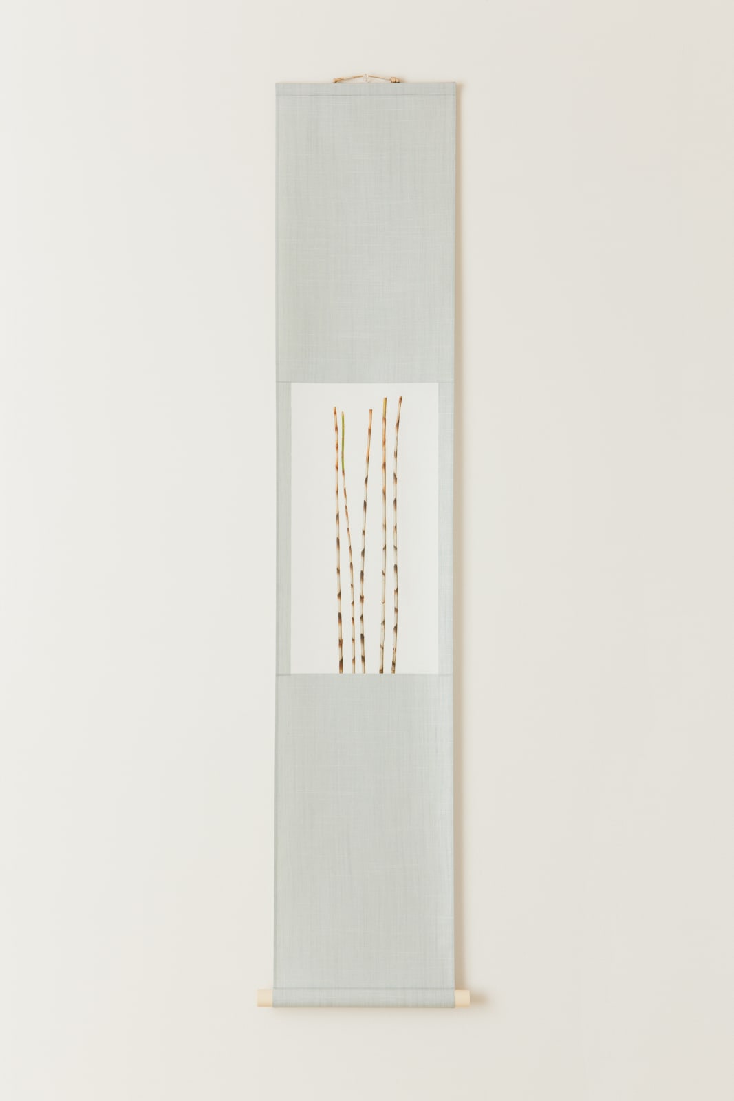 Takashi Tomo-oka, Bamboo Ginger, 2010