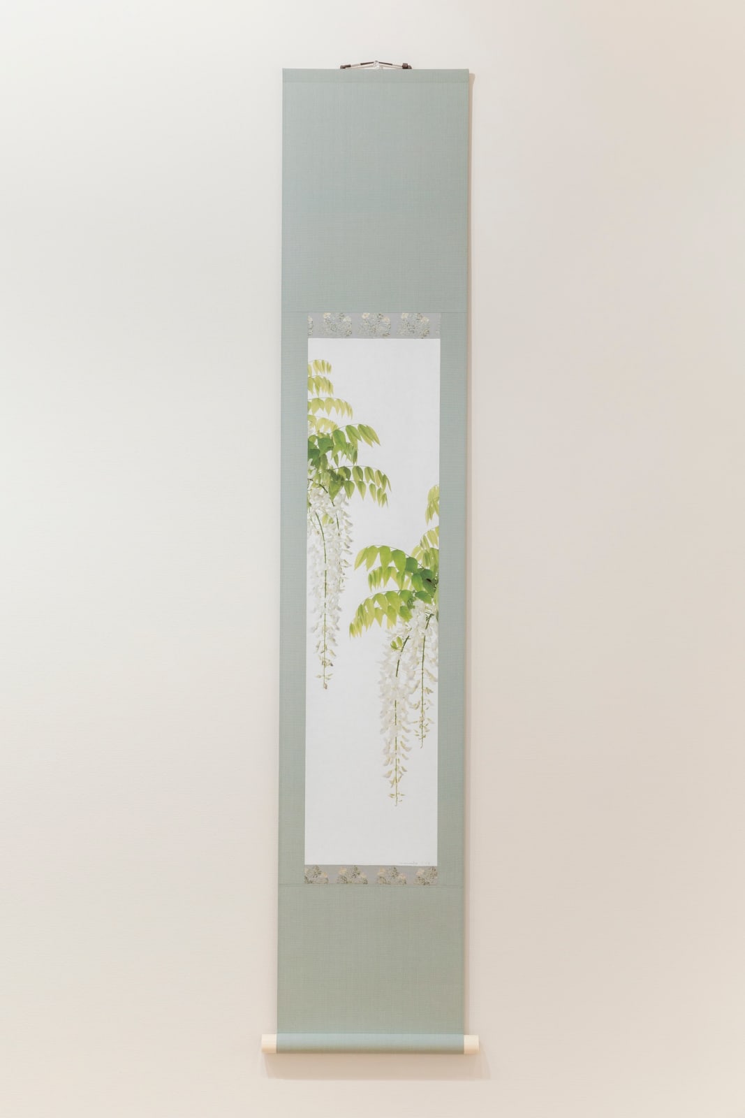 Takashi Tomo-oka, "Shirafuji" (白藤) White Wisteria 2, 2019