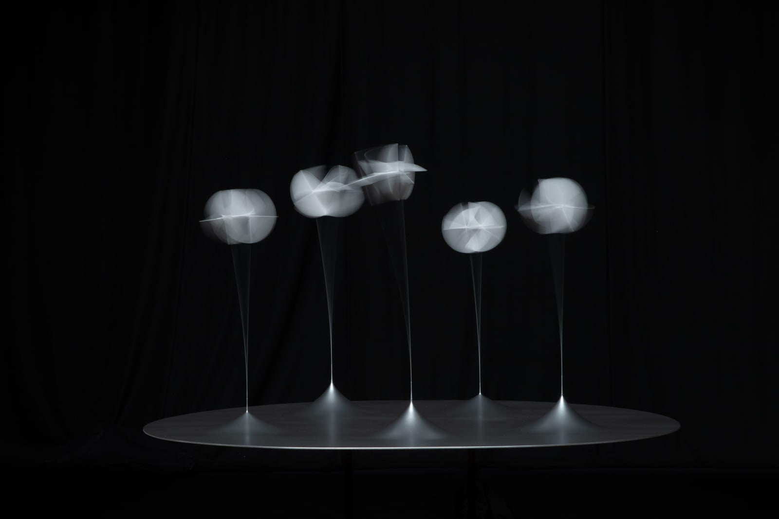 Susumu Shingu, Astral Forest / 星の森 (Edition 2/5), 2013