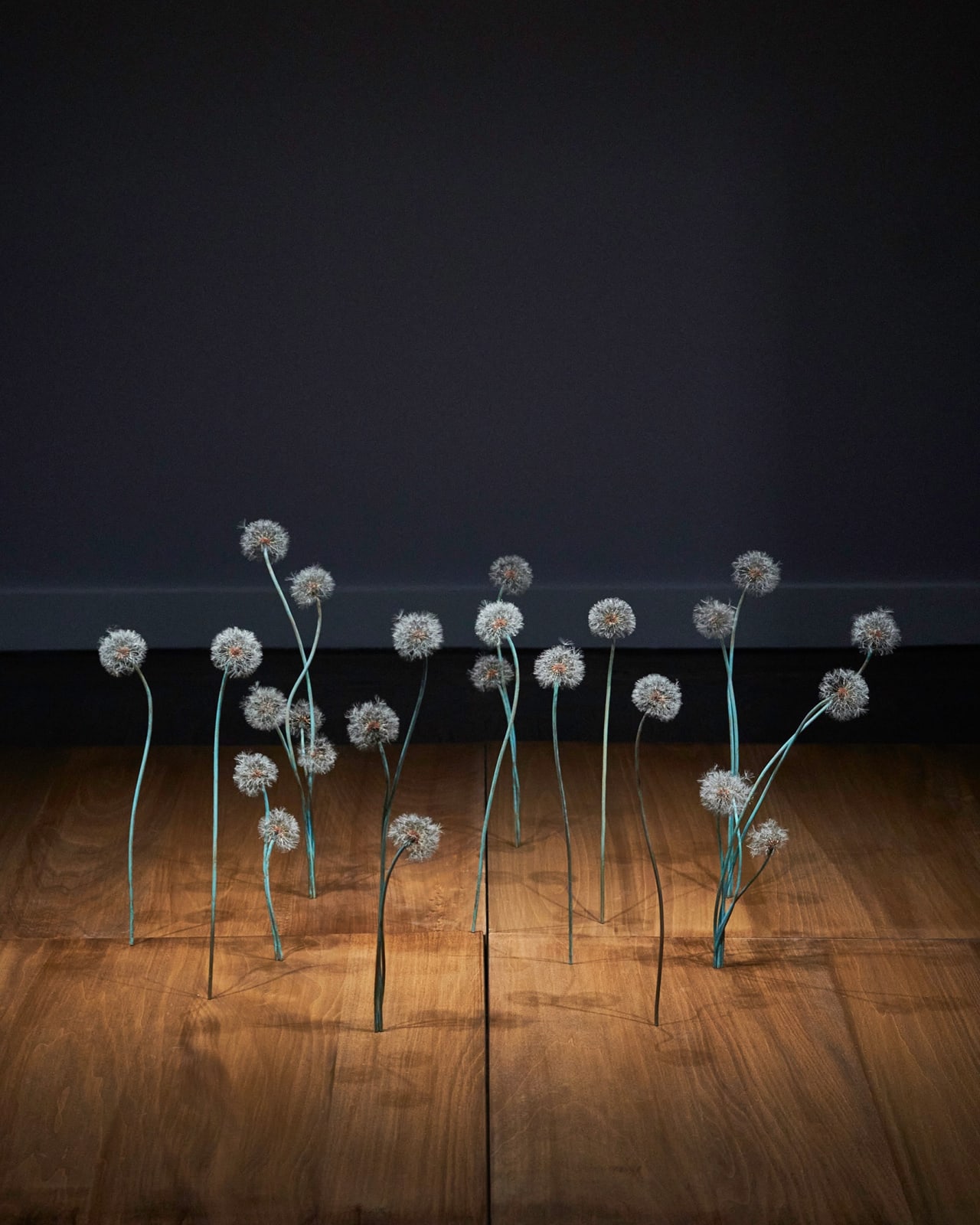 Shota Suzuki, 綿毛蒲公英・群 - Dandelion Fluff, 2023