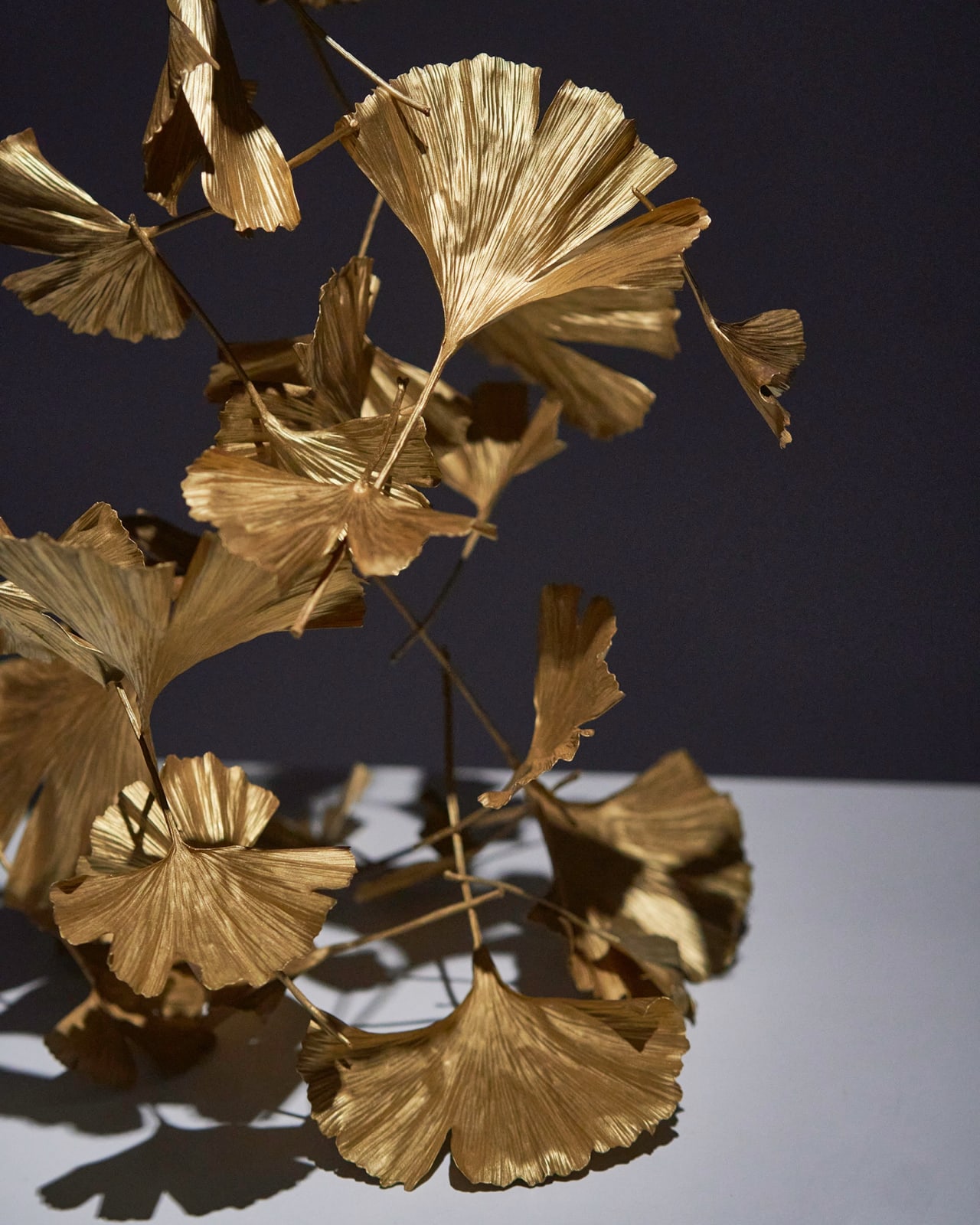 Shota Suzuki, 銀杏 - Gingko Leaf, 2023