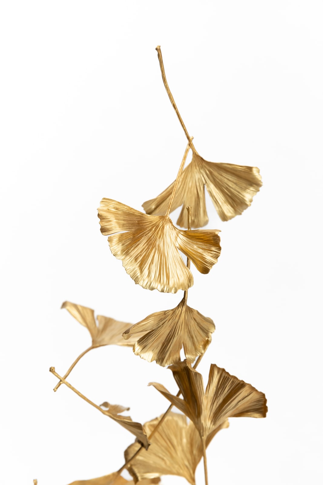 Shota Suzuki, "Blowing Leaves" Ginkgo イチョウの葉４枚付属, 2024
