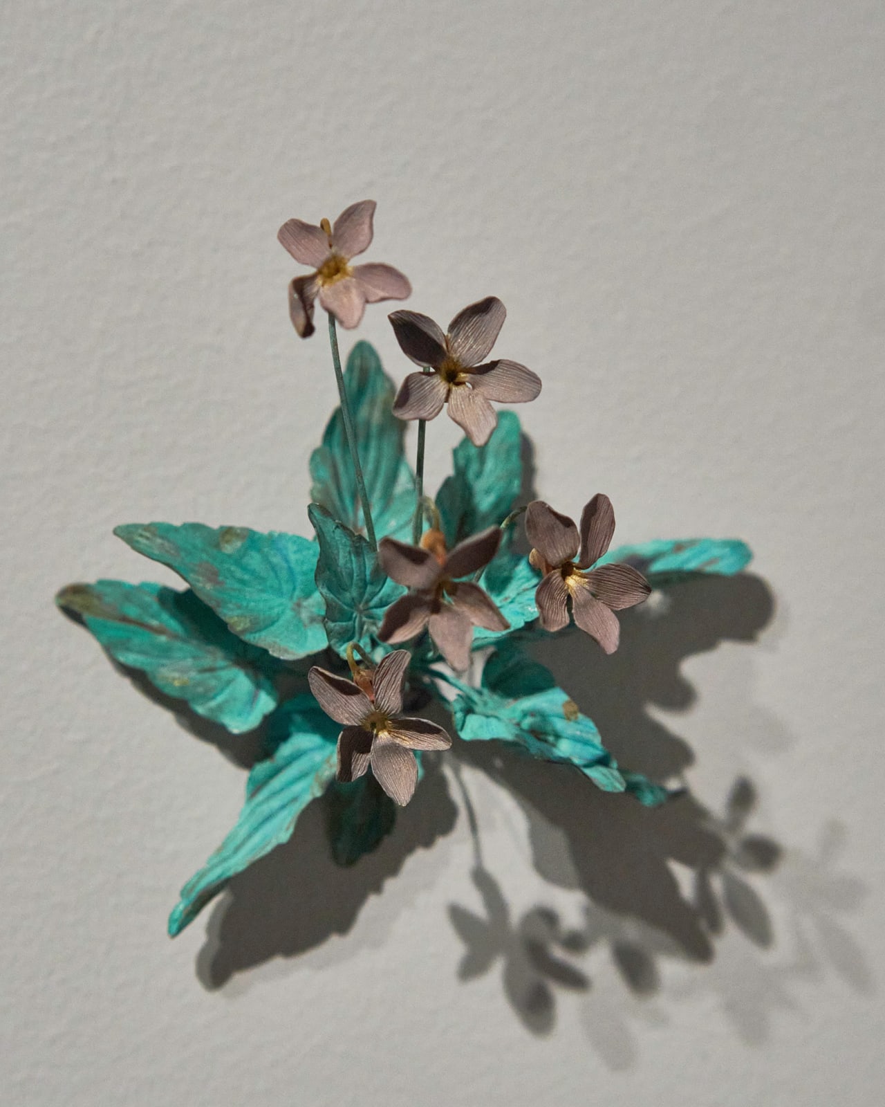 Shota Suzuki, 姫菫 - Viola, 2023
