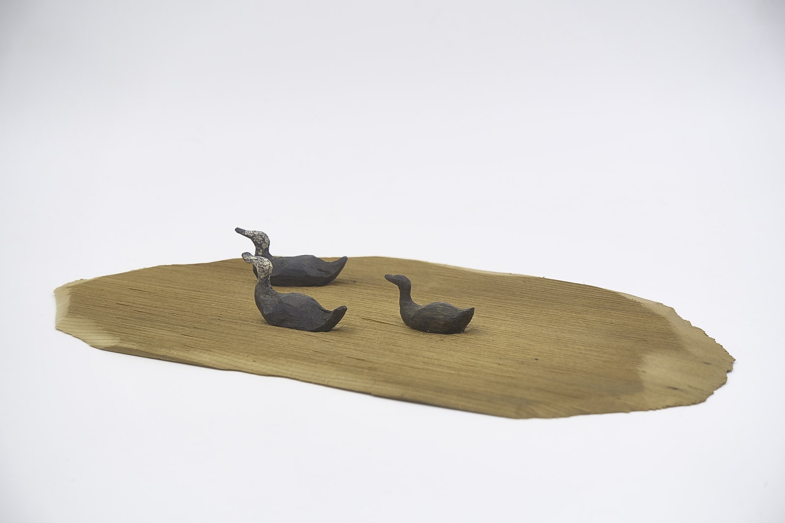 Sho Kishino, Pond
