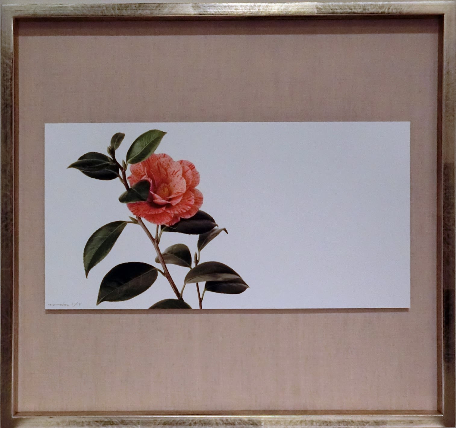 Takashi Tomo-oka, "Tsubaki" (椿) Camelia 4, 2016
