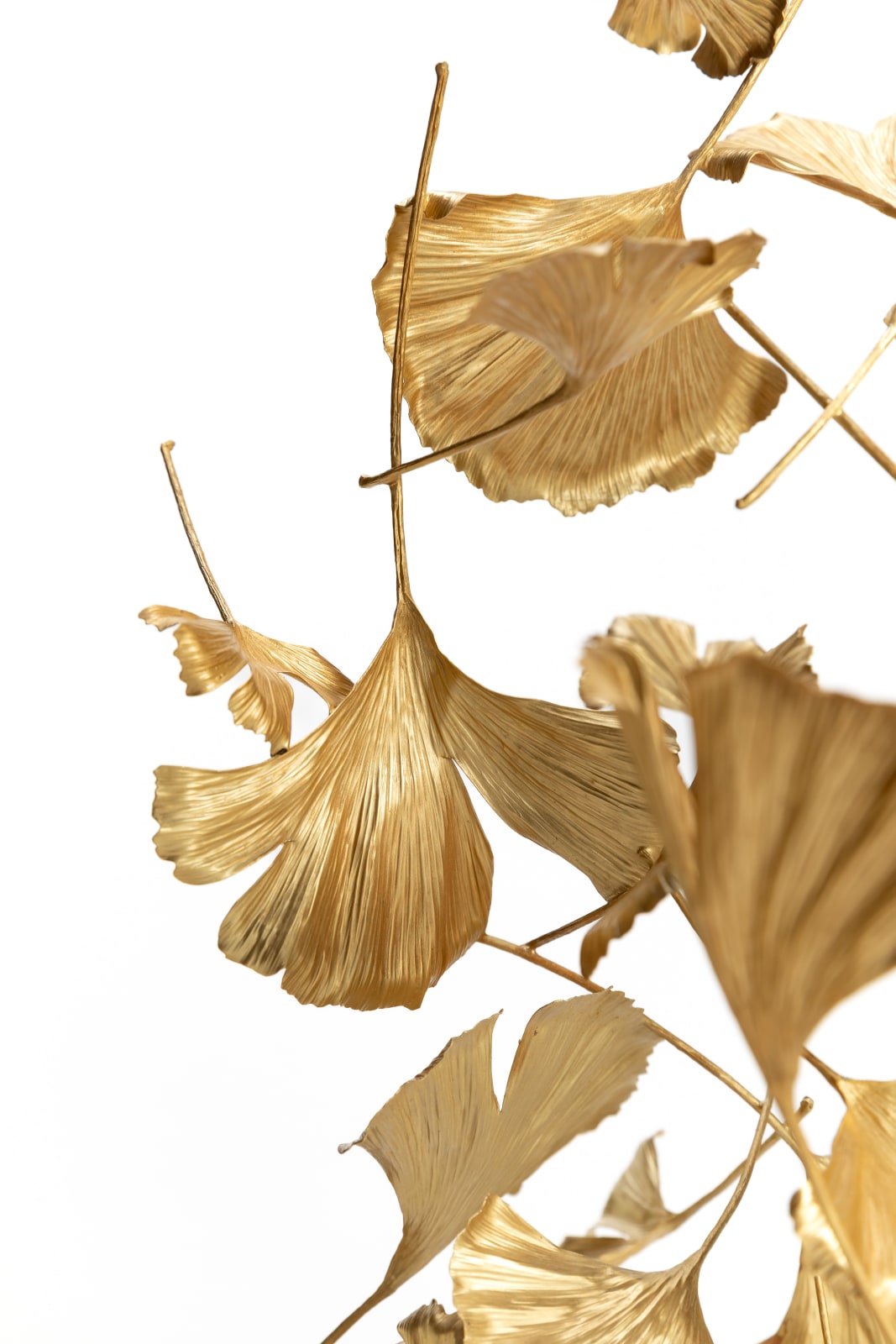 Shota Suzuki, "Blowing Leaves" Ginkgo イチョウの葉４枚付属, 2024